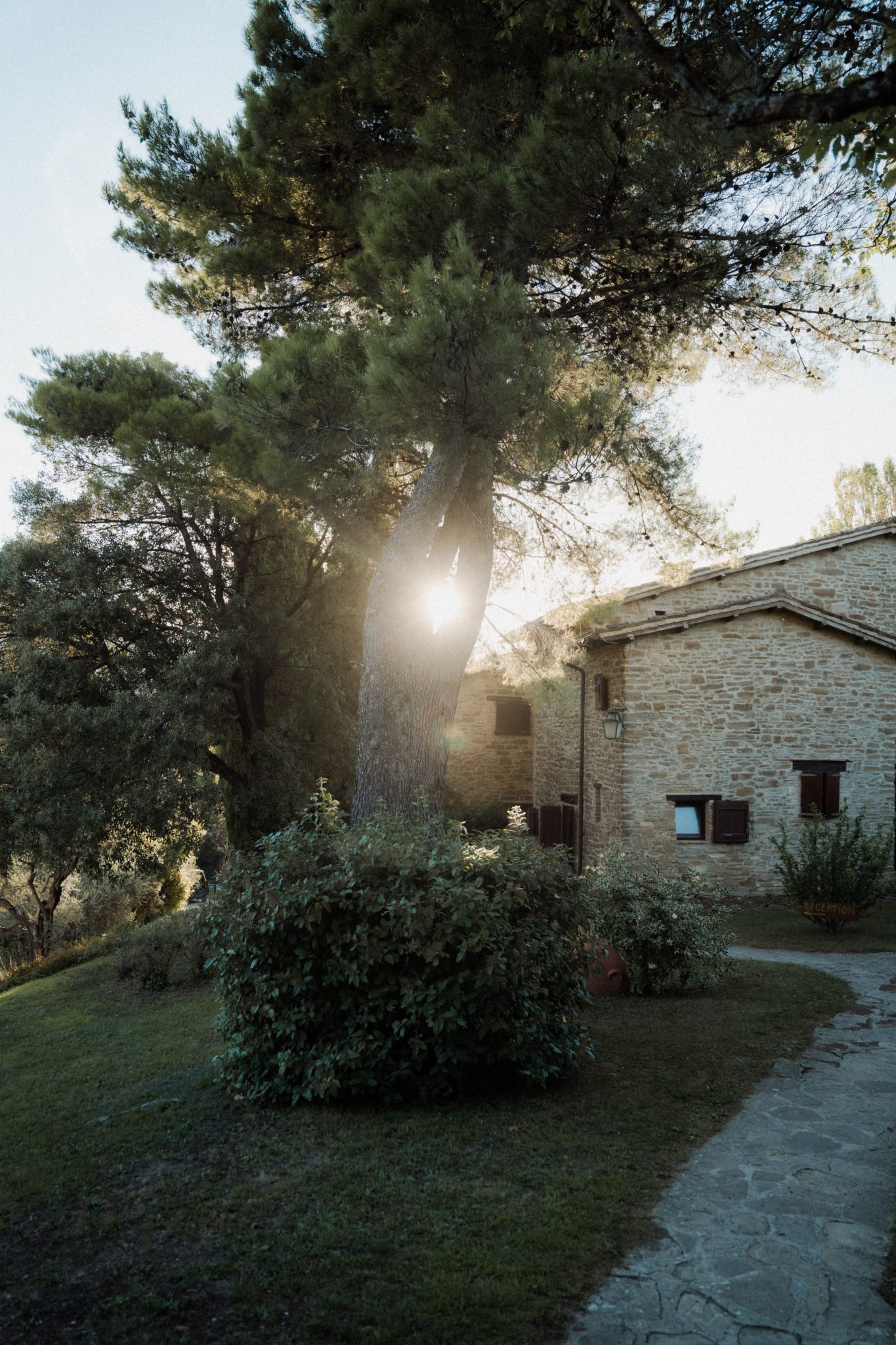 Stone farmhouse at Le Silve di Armenzano between pine trees in evening light